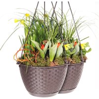 Hängeampel in Rattanoptik, Braun - 2er Set von Powertec Garden