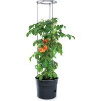 Tomatenturm - ca. 12 Liter, inkl. Rankhilfe Tomatenturm - ca. 12 Liter, inkl. Rankhilfe von Powertec Garden