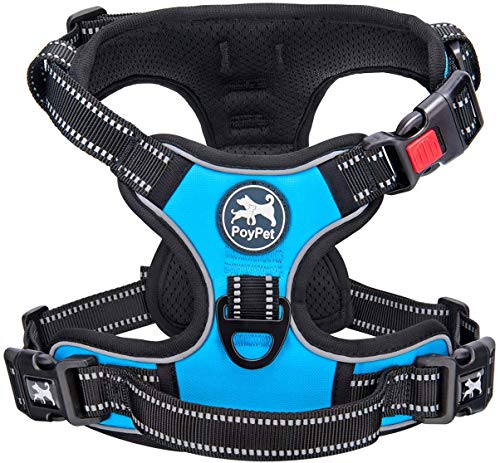 PoyPet Keine Pull Hundegeschirr Front Reflektierende Pet Weste für Hunde mit Einfache Kontrolle Griff und Rückseite perfekt für den täglichen Training, Walken, Running(Blau,M) von PoyPet