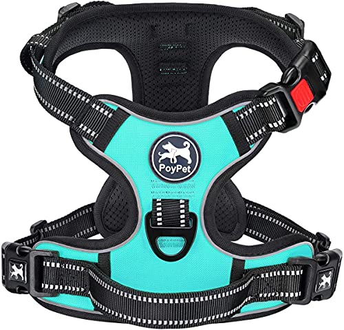 PoyPet Keine Pull Hundegeschirr Front Reflektierende Pet Weste für Hunde mit Einfache Kontrolle Griff und Rückseite perfekt für den täglichen Training, Walken, Running(Mint Blau,L) von PoyPet