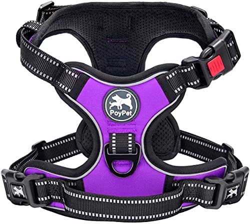 PoyPet Keine Pull Hundegeschirr Front Reflektierende Pet Weste für Hunde mit Einfache Kontrolle Griff und Rückseite perfekt für den täglichen Training, Walken, Running(Violett,M) von PoyPet