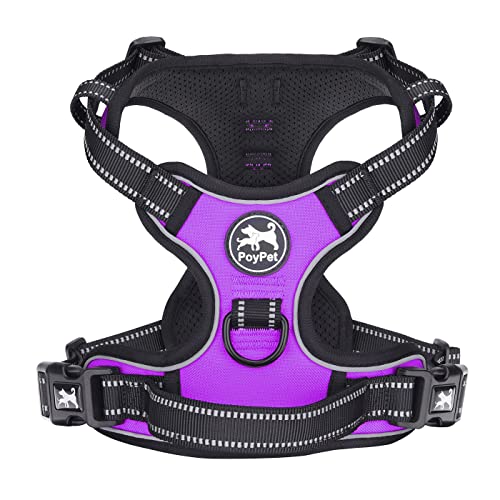 PoyPet No Pull Hundegeschirr, reflektierendes Westengeschirr mit 2 Leinenbefestigungen und einfachem Steuergriff für kleine mittelgroße Hunde (Violett, M (1er Pack)) von PoyPet