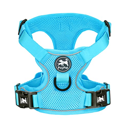 PoyPet Reflektierendes, weiches, atmungsaktives Hundegeschirr aus Mesh, erstickungsfreie, doppelt gepolsterte Weste mit verstellbarem Hals und Brust(Blau,XL) von PoyPet