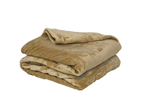 Poyet Motte Fleecedecke, Polyester, Beige, 220 x 240 cm, Motiv Produktreihe Mikrofaser von Poyet Motte