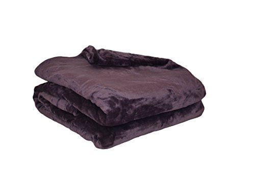 Poyet Motte Mikroflanell-Decke aus Polyester, Pflaume, Polyester, dunkelviolett, 240 x 220 cm von Poyet Motte