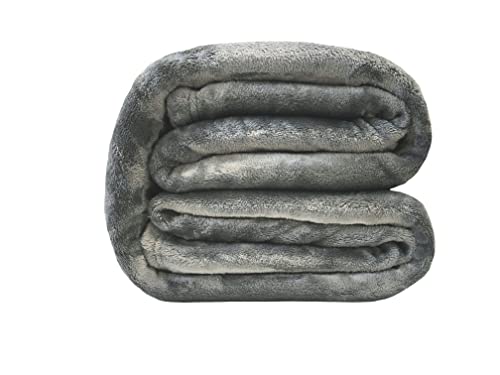 Poyet Motte microflanelle Decke Polyester Stahl, Polyester, stahlfarben, 220x180 cm Poyet Motte microflanelle Decke Polyester Stahl, Polyester, stahlfarben, 220x180 cm von Poyet Motte