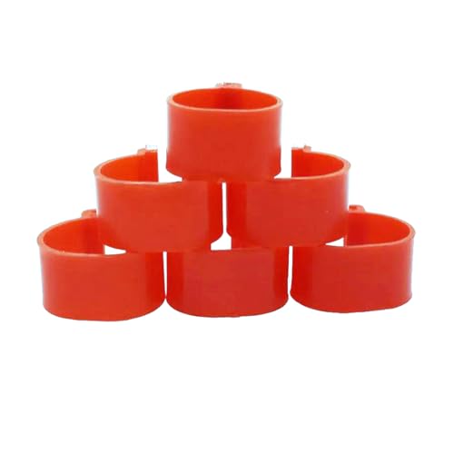 100 Stück, 16 mm große Geflügelbeinringe, leere Kunststoffbänder, geeignet zur Identifizierung von Tauben, Hühnern, Vögeln und anderen Nutztieren,Rot,Innendurchmesser 16 mm 100 Stück, 16 mm große Geflügelbeinringe, leere Kunststoffbänder, geeignet zur Identifizierung von Tauben, Hühnern, Vögeln und anderen Nutztieren,Rot,Innendurchmesser 16 mm von Poyuad