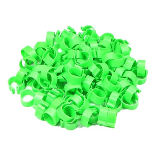 100 Stück, 3–5 mm, verstellbare Hühnerbeinringe, Geflügelbeinringe mit Ratschenclip, geeignet für Geflügelfarmwerkzeuge,Taubengrün,Innendurchmesser 8 mm - Höhe 6 mm 100 Stück, 3–5 mm, verstellbare Hühnerbeinringe, Geflügelbeinringe mit Ratschenclip, geeignet für Geflügelfarmwerkzeuge,Taubengrün,Innendurchmesser 8 mm - Höhe 6 mm von Poyuad