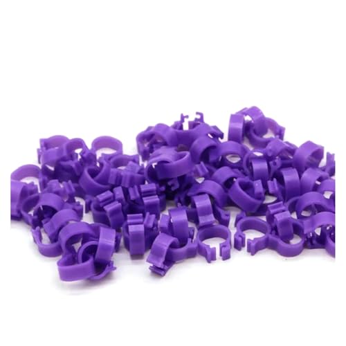 100 Stück, 8 mm Innendurchmesser, 5 mm Breite, Taubenbeinringe, farbige Geflügel-Identifikationsbänder für Enten, Papageien usw.,Lila,Innendurchmesser 8 mm von Poyuad