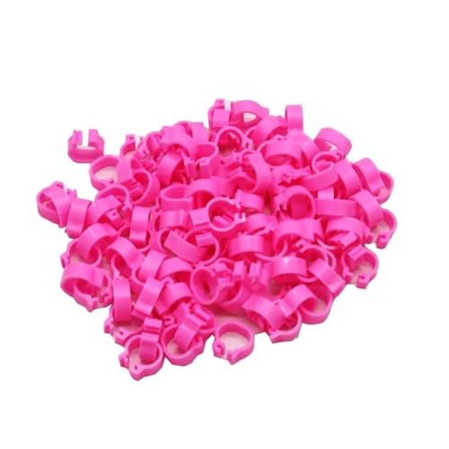 100 Stück, 8 mm Innendurchmesser, 5 mm Breite, Taubenbeinringe, farbige Geflügel-Identifikationsbänder für Enten, Papageien usw.,Rosa,Innendurchmesser 8 mm 100 Stück, 8 mm Innendurchmesser, 5 mm Breite, Taubenbeinringe, farbige Geflügel-Identifikationsbänder für Enten, Papageien usw.,Rosa,Innendurchmesser 8 mm von Poyuad