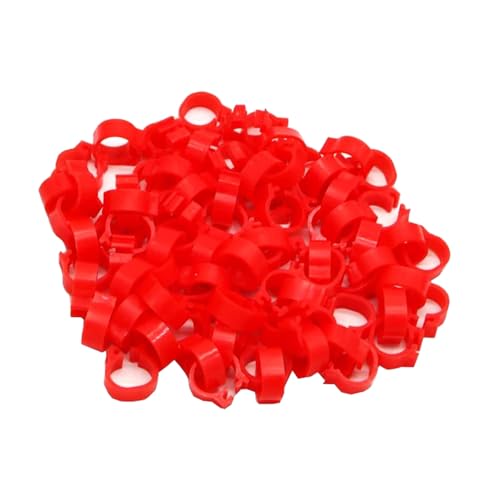 100 Stück, 8 mm Innendurchmesser, 5 mm Breite, Taubenbeinringe, farbige Geflügel-Identifikationsbänder für Enten, Papageien usw.,Rot,Innendurchmesser 8 mm 100 Stück, 8 mm Innendurchmesser, 5 mm Breite, Taubenbeinringe, farbige Geflügel-Identifikationsbänder für Enten, Papageien usw.,Rot,Innendurchmesser 8 mm von Poyuad