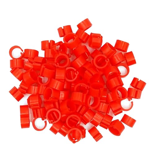 100 Stück, 8 mm Innendurchmesser, 7 mm Breite, Kunststoff-Identifikationsbänder für Tauben und Wachteln für Nutztiere,Rot,Innendurchmesser 8 mm 100 Stück, 8 mm Innendurchmesser, 7 mm Breite, Kunststoff-Identifikationsbänder für Tauben und Wachteln für Nutztiere,Rot,Innendurchmesser 8 mm von Poyuad
