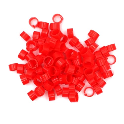 100 Stück, 8 mm Innendurchmesser, 8 mm Höhe, Taubenbeinringe, farbige Identifikationsbänder, Outdoor-Vogeltrainingsgeräte,Rot,Innendurchmesser 8 mm 100 Stück, 8 mm Innendurchmesser, 8 mm Höhe, Taubenbeinringe, farbige Identifikationsbänder, Outdoor-Vogeltrainingsgeräte,Rot,Innendurchmesser 8 mm von Poyuad