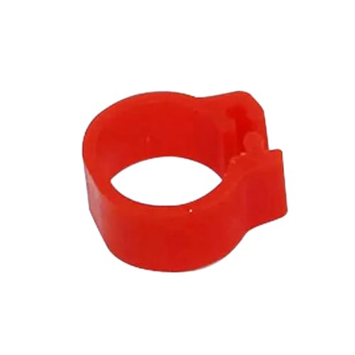 100 Stück, Innendurchmesser 8 mm, Vogelbeinringe, ohne Text, buntes Geflügel-Identifikationsband für das Taubentraining im Freien,Rot,Innendurchmesser 8 mm 100 Stück, Innendurchmesser 8 mm, Vogelbeinringe, ohne Text, buntes Geflügel-Identifikationsband für das Taubentraining im Freien,Rot,Innendurchmesser 8 mm von Poyuad