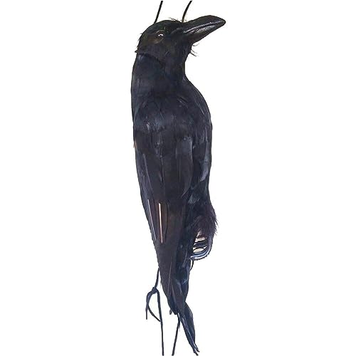 Ppmter Realistische Hanging Dead Crows Decoy Lifesize Black Gefiederte Krähe Falsche Krähen Für Gartenparty Halloween Dekorationen Requisiten von Ppmter