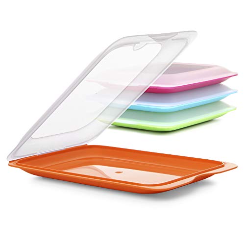 PracticDomus Set mit 4 Frischhaltebehältern für Lebensmittel, optimale Aufbewahrung von Aufschnitt im Kühlschrank, Maße 17 x 3,2 x 25,2 cm (4 x Basisfarbe) von PracticDomus