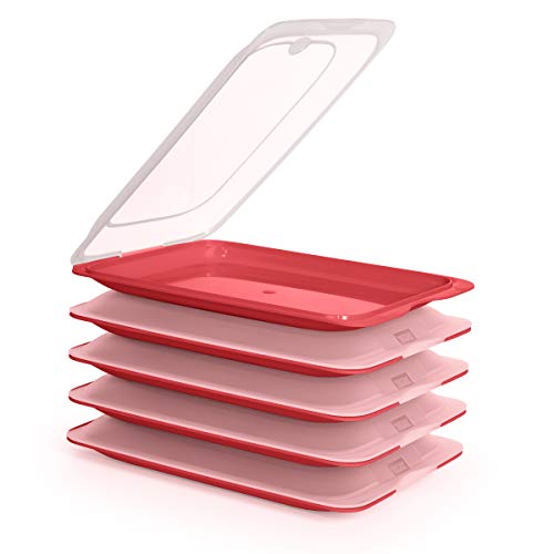 PracticDomus Hochwertige Aufschnitt-Boxen, Frischhaltedose für Aufschnitt Fresh System. Optimale Aufbewahrung im Kühlschrank, Maße 17 x 3.2 x 25.2 cm (5X Burgunderrot) von PracticDomus
