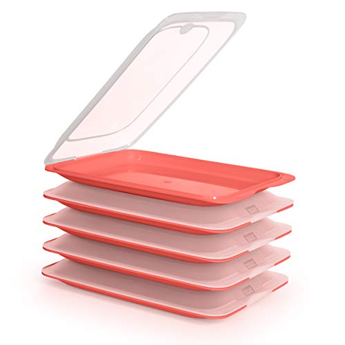PracticDomus Hochwertige Aufschnitt-Boxen, Frischhaltedose für Aufschnitt Fresh System. Optimale Aufbewahrung im Kühlschrank, Maße 17 x 3.2 x 25.2 cm (5X Coral) von PracticDomus
