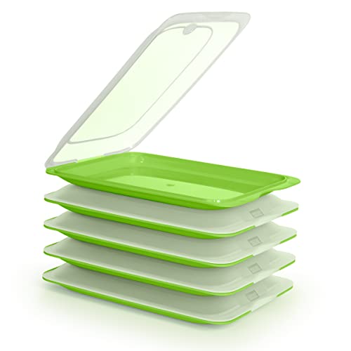 PracticDomus Hochwertige Aufschnitt-Boxen, Frischhaltedose für Aufschnitt Fresh System. Optimale Aufbewahrung im Kühlschrank, Maße 17 x 3.2 x 25.2 cm (5X Green) von PracticDomus