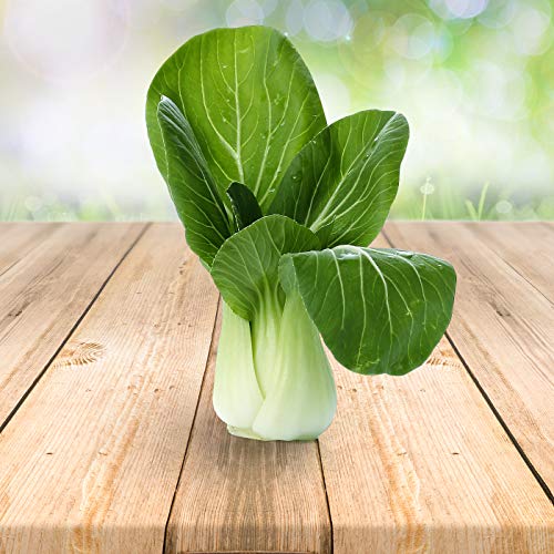 Pak Choi 250 x Samen - Aus Portugal 100% Natürlich Ohne Chemische Anzuchthilfe Oder Gentechnik, Einfach Nur Natur Pur von prademir