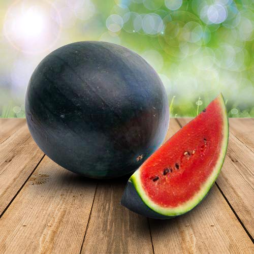 Wassermelon Sugar Baby 25 x Samen - 100% Natursamen, Superfruchtig und Herrlich Erfrischend von prademir