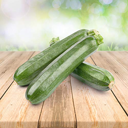 grüne Zucchini 25 x Samen - Aus Portugal 100% Natürlich Ohne Chemische Anzuchthilfe Oder Gentechnik, Einfach Nur Natur Pur von prademir