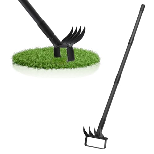 Action Steigbügelhacke Gartenwerkzeug Unkrautzieher mit verstellbarem langem Griff, Heavy Duty Hula Hacke und 4 Zinken Rechen 2 in 1 Gartengeräte Gartengeräte Gartenkultivator zum Jäten von Erde Action Steigbügelhacke Gartenwerkzeug Unkrautzieher mit verstellbarem langem Griff, Heavy Duty Hula Hacke und 4 Zinken Rechen 2 in 1 Gartengeräte Gartengeräte Gartenkultivator zum Jäten von Erde von Pragmatist