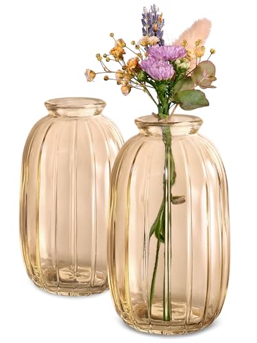 Kleine Glasvasen - 12er Set - Vintage Stil - Runde & Stabile Blumenvasen - Spülmaschinenfest - Perfekt für Hochzeit Tischdeko - Gold von Praknu
