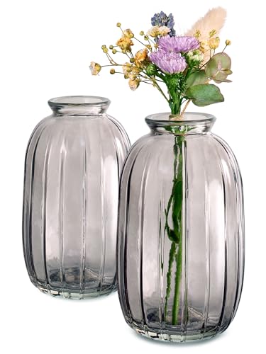 Kleine Glasvasen - 12er Set - Vintage Stil - Runde & Stabile Blumenvasen - Spülmaschinenfest - Perfekt für Hochzeit Tischdeko - Grau von Praknu