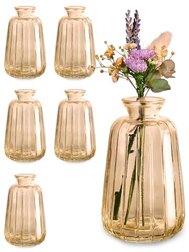Kleine Glasvasen für Tischdeko - 6er Set - Vintage Charme - Runde Minivasen - Spülmaschinenfest - Perfekt für Hochzeit Tischdeko - Gold von Praknu