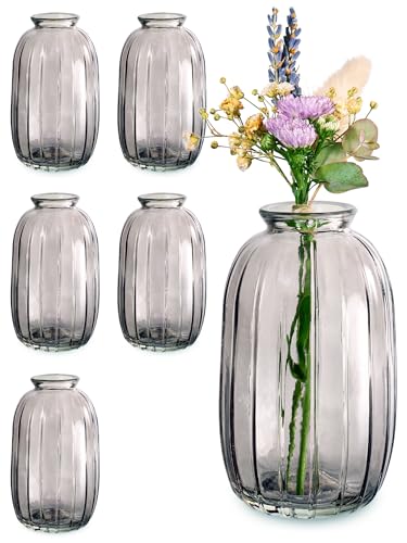 Kleine Glasvasen - 6er Set - Vintage Stil - Runde & Stabile Blumenvasen - Spülmaschinenfest - Perfekt für Hochzeit Tischdeko - Grau von Praknu