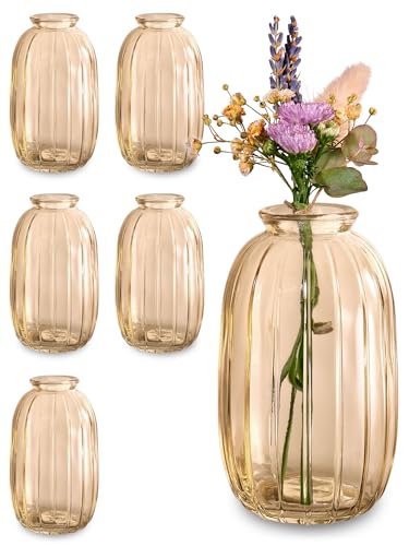 Kleine Glasvasen - 6er Set - Vintage Stil - Runde & Stabile Blumenvasen - Spülmaschinenfest - Perfekt für Hochzeit Tischdeko - Gold von Praknu