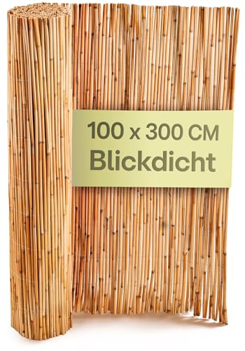 Praknu Schilf Balkon Sichtschutz - FSC® Zertifiziertes, Natürliches Schilf - Vielseitig Einsetzbar Im Innen- Und Außenbereich - Perfekt Für Balkone Und Gärten - 100 x 300cm von Praknu