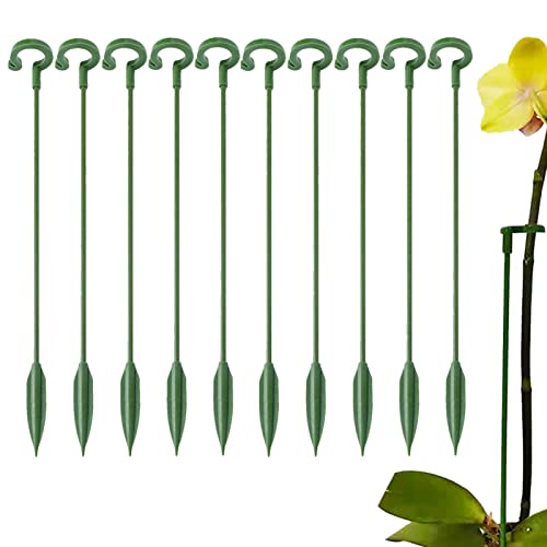 - 10 Heringe Unterstützung für – Stängelhalterung UnJardin Reifen Zubehör für Orchideen Tomaten Pfingstrose Lilien von Pratvider