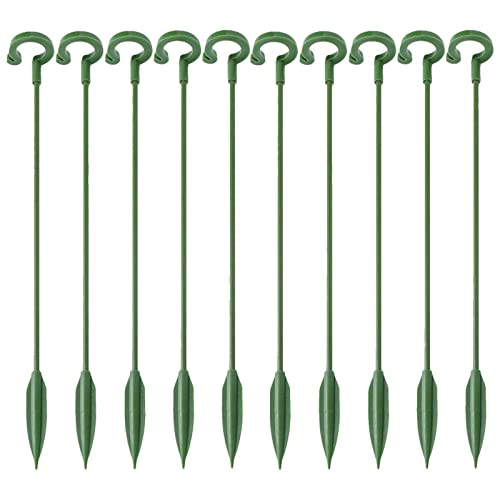 - 10 Heringe zur Unterstützung - für den Innenbereich, Klettergerüst, einzelne , für Amaryllis, Orchidee, Lilie, Pfingstrose, von Pratvider