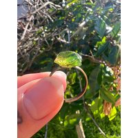 Andara Kristall Ring Grüner Andara Bronze Altgold von PraxisAnasha