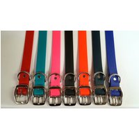 Wasserdichte Hundehalsband Mit Identifikationsplatte Oder Hundemarke von Precisioncraftlaser