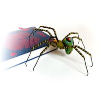 Halloween Dekor Regenbogen Farbe Spinne, Spinne Aus Seide Wolle Und Spinne Halloween Dekor Regenbogen Farbe Spinne, Spinne Aus Seide Wolle Und Spinne von PremaFelt
