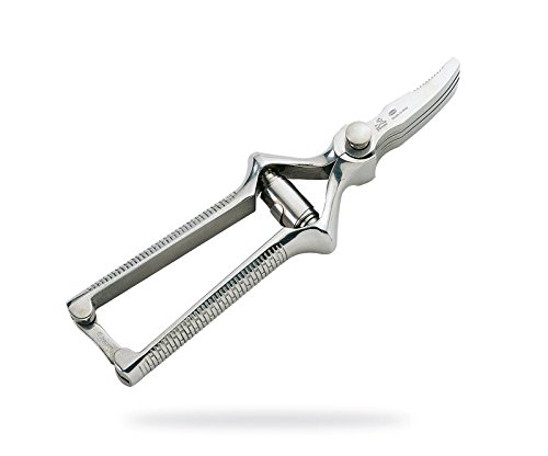 Premax - Kauapparat - Gebogene Klinge - Ideal für Menschen mit Kauproblemen - Einstellbare Rändelschraube - Abm. 20 cm. - Rostfreier Stahl/Verchromt - 10867 - Hergestellt in Italien von Premax