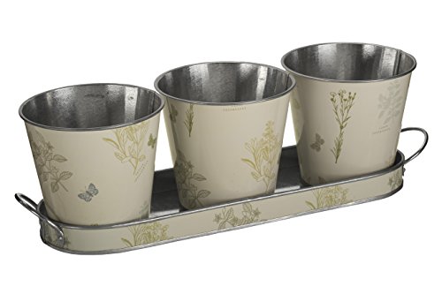 Premier Housewares 2450019 Töpfen auf Tablett, rechteckig, natur/grün (Set von 3) von Premier