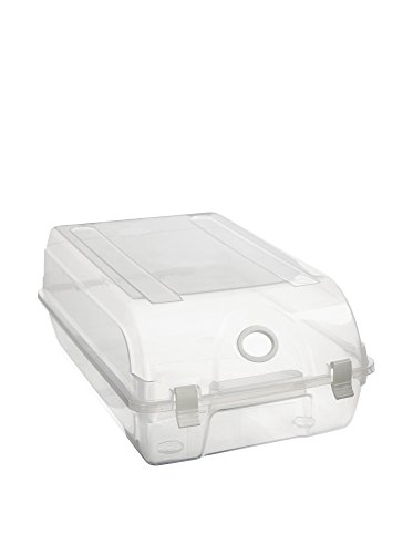 Premier Housewares Premier Interiors-Organizer Schuhe, PP - Polypropylen, klar, 22x37x14 von Premier