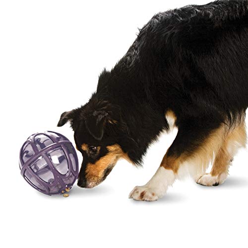 Premier 74143 Kibble Nibble - Futterball von PetSafe