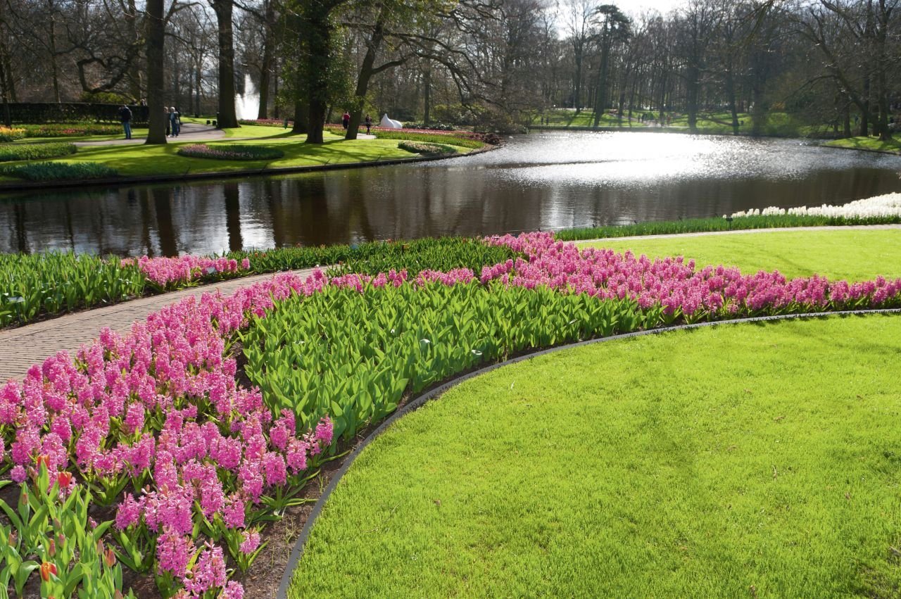 Teppichunterlage Premium Garden Wurzelsperre für Rasenkanten 10 m x, Premium Garden von Premium Garden