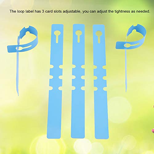 Pretfy 100pcs Plastikgarten Advanced System Lawn Tag Plant Marker Blumen -Tags Hängen Etiketten Identifikationsdekor Ornament Kindergärten für Einsatz (Blau) von Pretfy