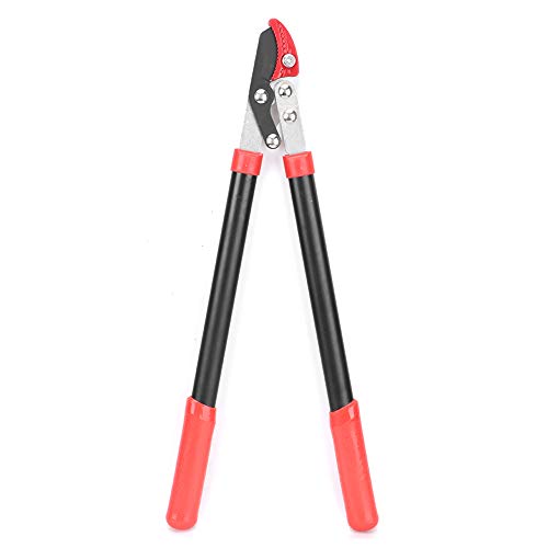 Pretfy Gartenbaum -Schnittschere -Pruner Zweige Schneiderschere Schneidwerkzeug Pretfy Gartenbaum -Schnittschere -Pruner Zweige Schneiderschere Schneidwerkzeug von Pretfy