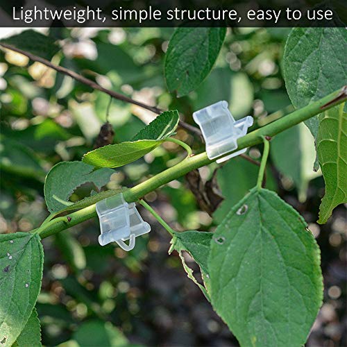 Pretfy Plastik -Gemüse -Obst Baum Sämlingsanpflanzungsklammern, Gartenwerkzeuge für Sämlinge und Obsttransplantation von Pretfy