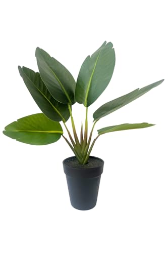 Bananen Kunstpflanze 35cm - Bananenpflanze - Kleine künstliche Pflanzen - A-BA-35 von PrettyPlants