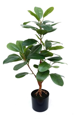 Ficus Kunstpflanze 80cm - Hochwertige Kunstpflanzen - Künstliche Ficus Pflanzen im Topf von PrettyPlants
