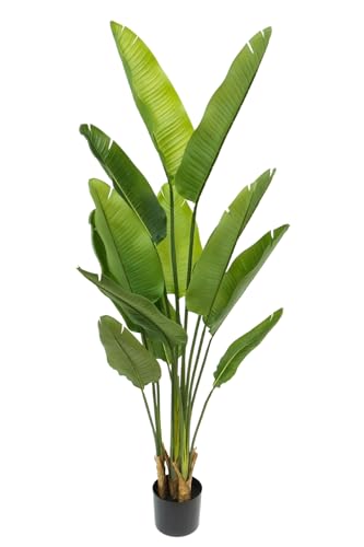 Strelitzia Kunstpflanze 2 160cm - Große künstliche Pflanzen - A-ST-160 - Dekoration - Tropische Künstliche Pflanze - Natürlich von PrettyPlants