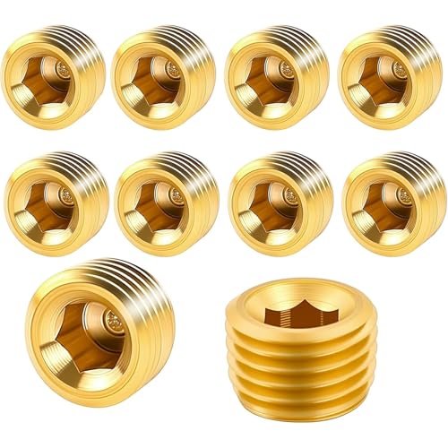 10 Stück 1/4 Zoll NPT Außengewinde-Rohrstopfen-Set, Messing-Sechskant-Senkstopfen zum Verschließen des Rohrendes, Innensechskant-Innengewinde-Rohrstopfen-Set, Gold von Pretwad
